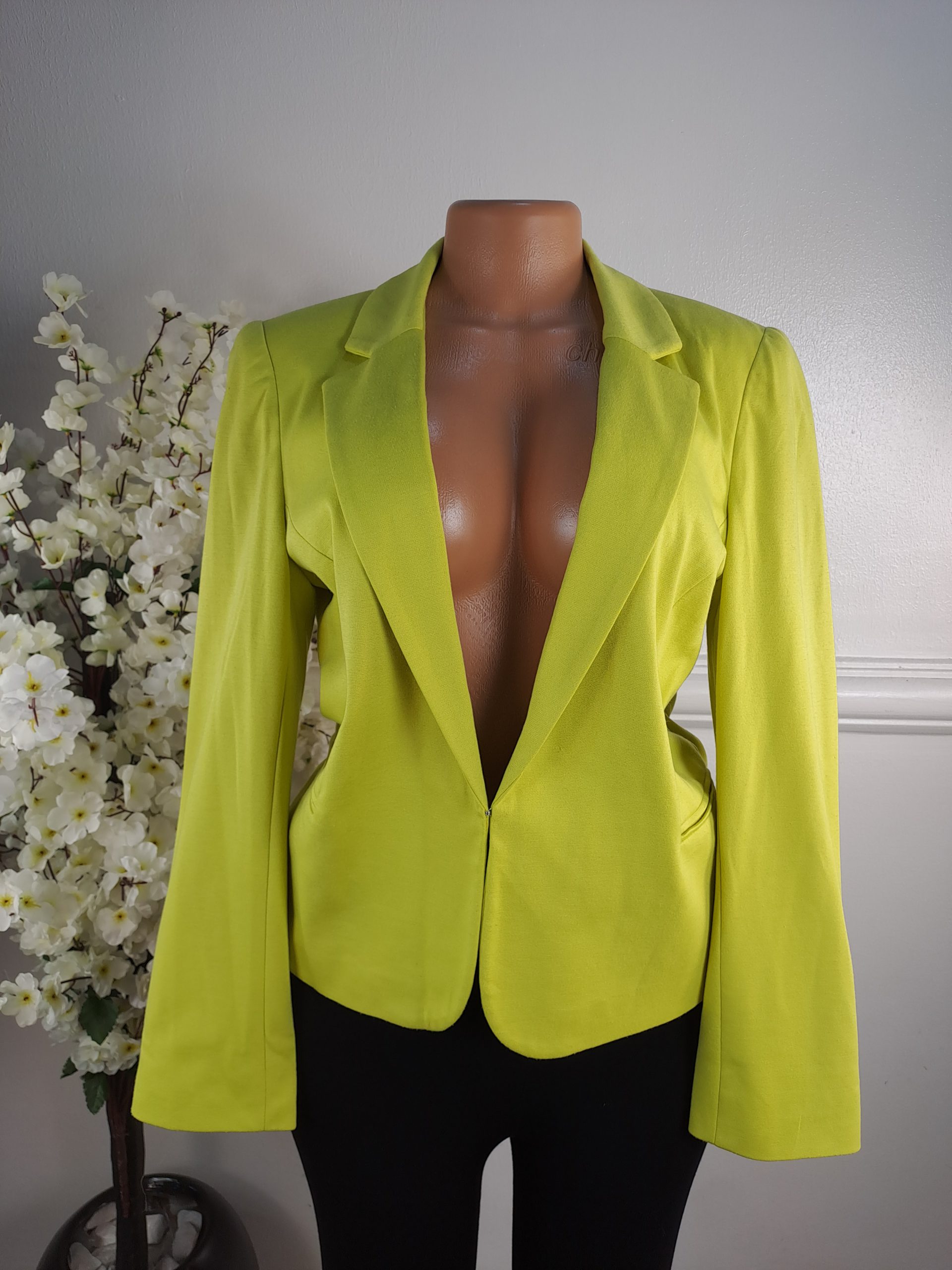 PETITE DEBENHAM UK SIZE 12 [LENGHT 24 INCHES]
